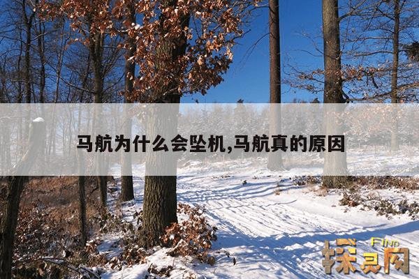 马航为什么会坠机,马航真的原因