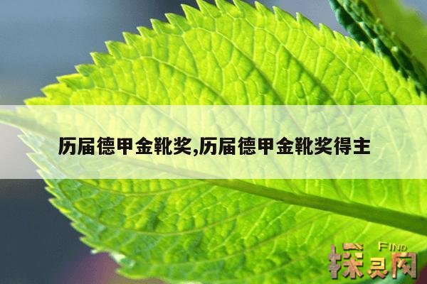 历届德甲金靴奖,历届德甲金靴奖得主