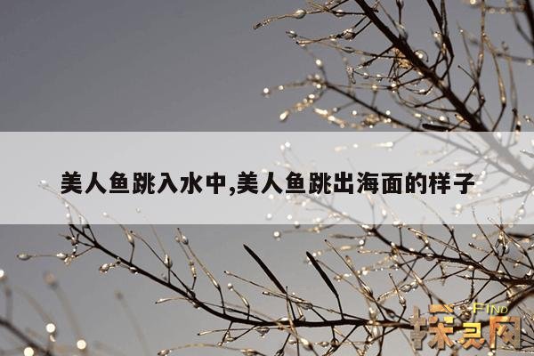 美人鱼跳入水中,美人鱼跳出海面的样子