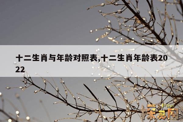 十二生肖与年龄对照表,十二生肖年龄表2022