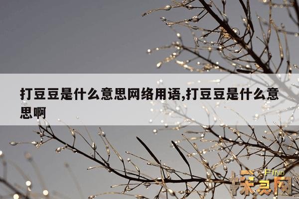 打豆豆是什么意思网络用语,打豆豆是什么意思啊