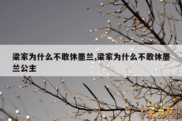 梁家为什么不敢休墨兰,梁家为什么不敢休墨兰公主