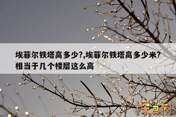 埃菲尔铁塔高多少?,埃菲尔铁塔高多少米?相当于几个楼层这么高