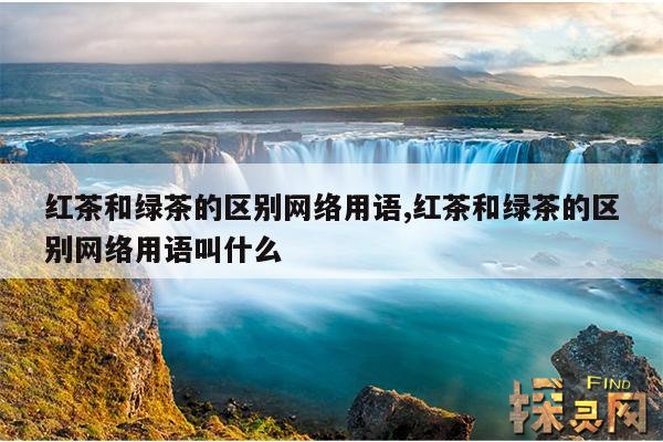 红茶和绿茶的区别网络用语,红茶和绿茶的区别网络用语叫什么