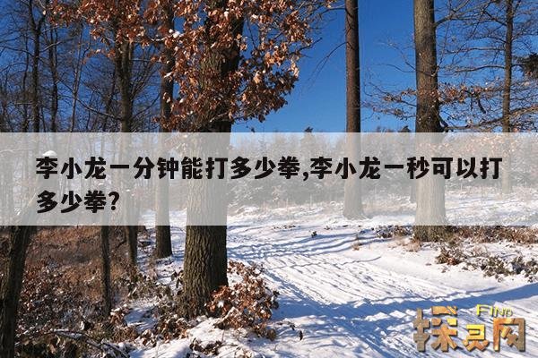 李小龙一分钟能打多少拳,李小龙一秒可以打多少拳?