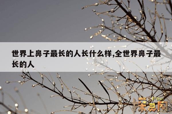 世界上鼻子最长的人长什么样,全世界鼻子最长的人