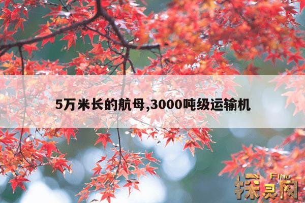 5万米长的航母,3000吨级运输机
