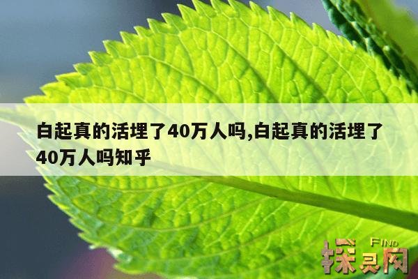 白起真的活埋了40万人吗?,秦灭六国哪国最惨