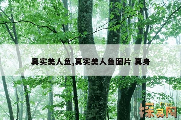 真实美人鱼,真实美人鱼图片 真身
