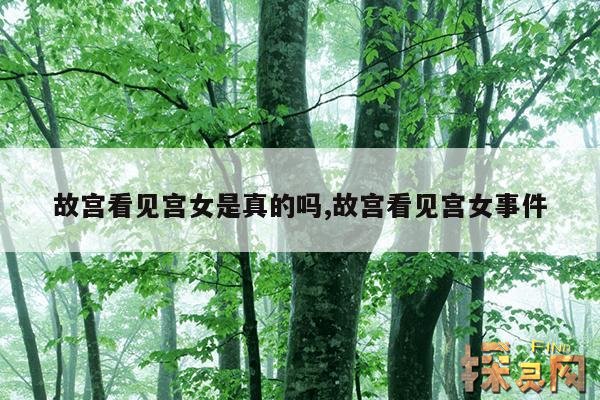 故宫看见宫女是真的吗,故宫看见宫女事件