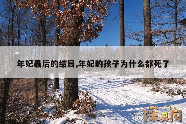 年妃最后的结局,年妃的孩子为什么都死了