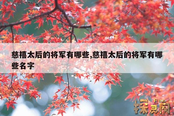 慈禧太后的将军有哪些,慈禧太后的将军有哪些名字