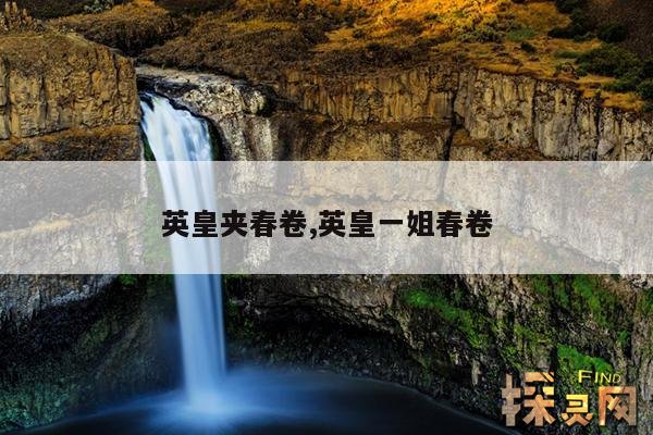 英皇夹春卷,英皇一姐春卷