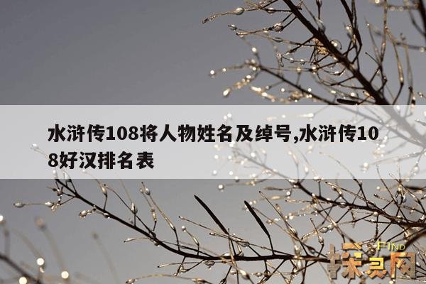 水浒传108将人物姓名及绰号,水浒传108好汉排名表
