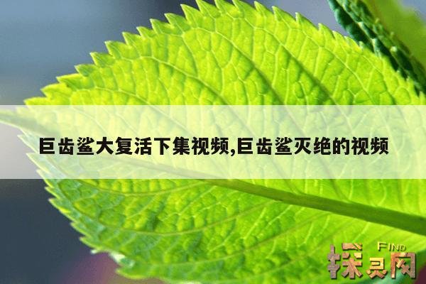 巨齿鲨大复活下集视频,巨齿鲨灭绝的视频