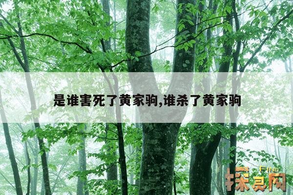 是谁害死了黄家驹,谁杀了黄家驹