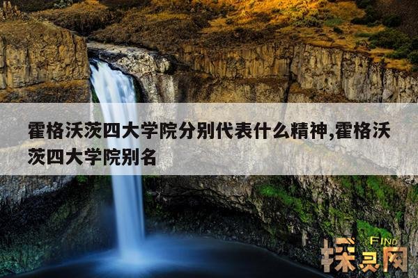 霍格沃茨四大学院分别代表什么精神,霍格沃茨四大学院别名