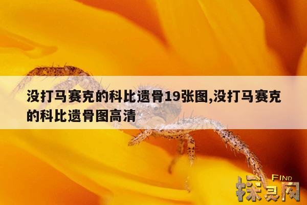 没打马赛克的科比遗骨19张图,没打马赛克的科比遗骨图高清