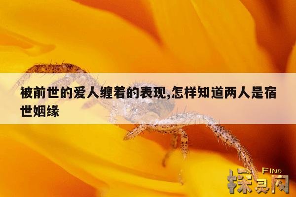 被前世的爱人缠着的表现,缘分未尽的8个征兆