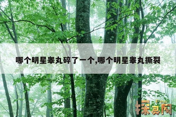 哪个明星睾丸碎了一个,哪个明星睾丸撕裂