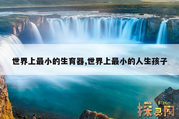 世界上最小的生育器,世界上最小的人生孩子