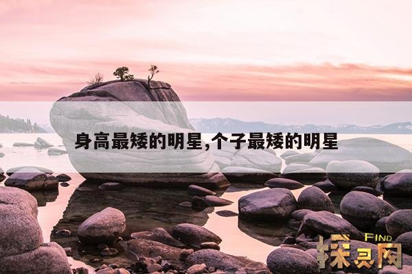 身高最矮的明星,个子最矮的明星