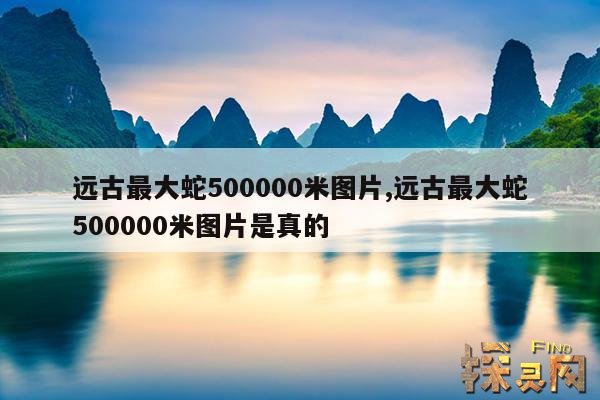 远古最大蛇500000米图片,远古最大蛇500000米图片是真的