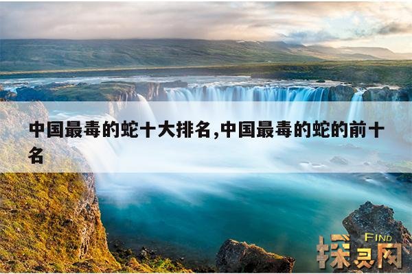 中国最毒的蛇十大排名,中国最毒的蛇是什么?