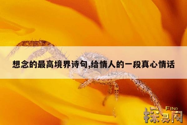想念的最高境界诗句,给情人的一段真心情话