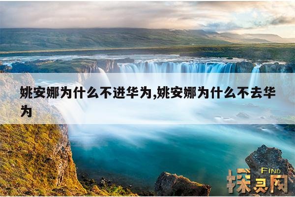 姚安娜为什么不进华为,姚安娜为什么不去华为