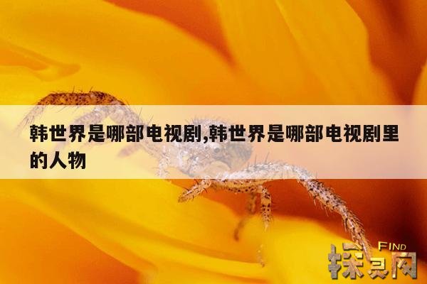 韩世界是哪部电视剧,韩世界是哪部电视剧里的人物