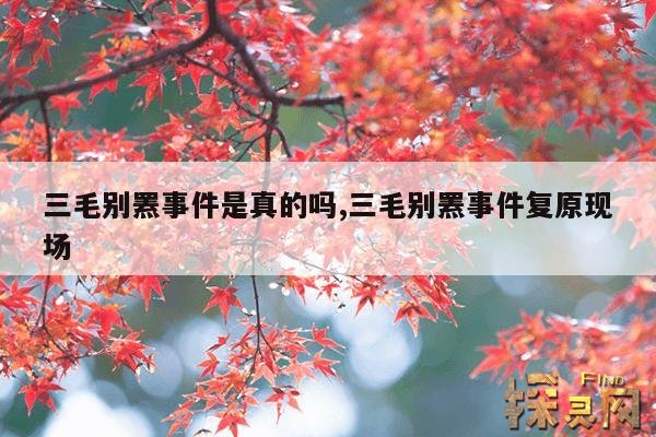 三毛别罴事件是真的吗?,三毛别罴事件复原现场
