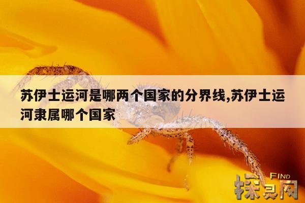 苏伊士运河是哪两个国家的分界线,苏伊士运河隶属哪个国家