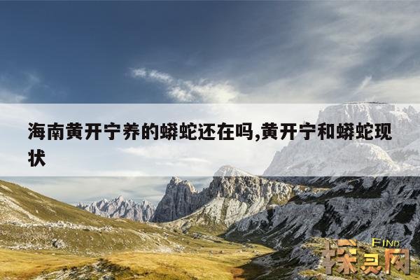 海南黄开宁养的蟒蛇还在吗?,黄开宁和蟒蛇还在吗?