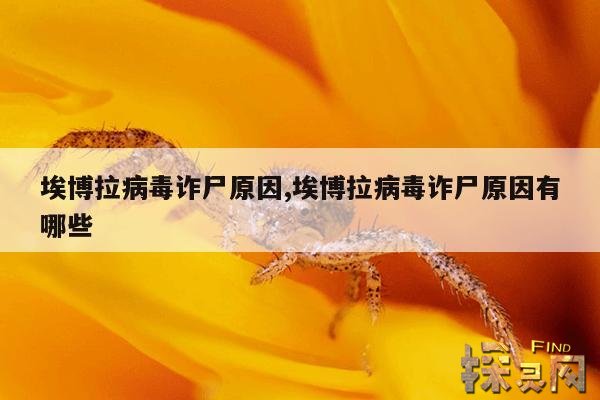 埃博拉病毒诈尸原因,埃博拉病毒诈尸原因有哪些