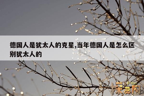 德国人是犹太人的克星,当年德国人是怎么区别犹太人的