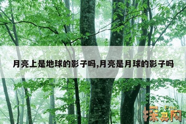 月亮上是地球的影子吗,月亮是月球的影子吗