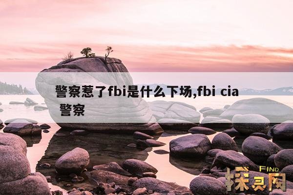 警察惹了fbi是什么下场,fbi cia 警察