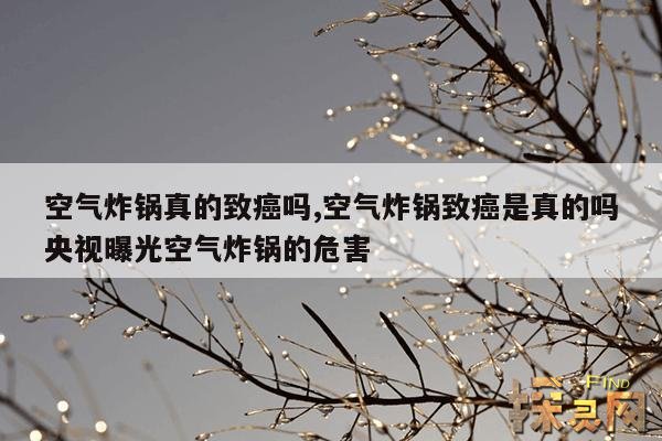 空气炸锅真的致癌吗?,空气炸锅致癌物吗?