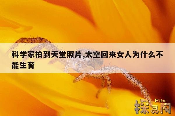 科学家拍到天堂照片,太空回来女人为什么不能生育