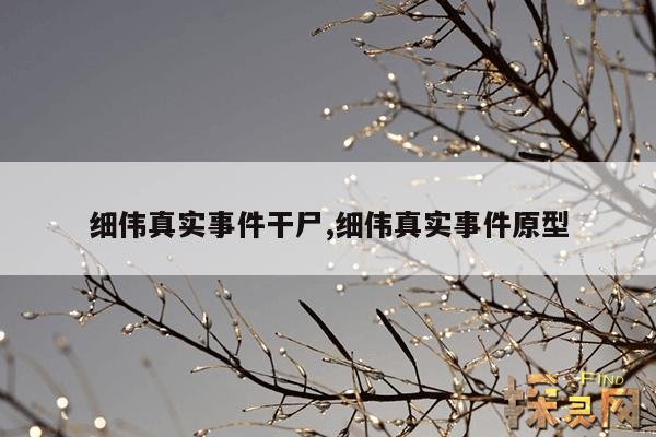 细伟真实事件干尸,细伟真实事件原型