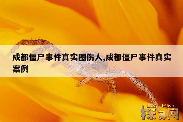 成都僵尸事件真实图伤人,成都僵尸事件真实案例