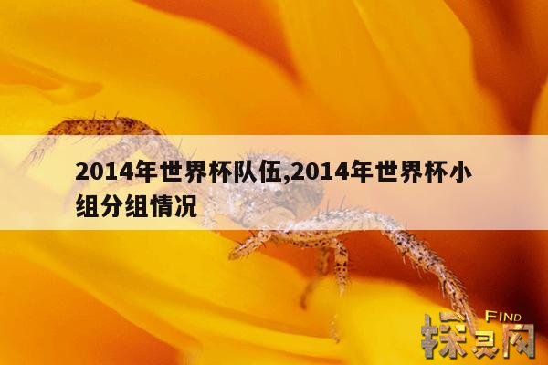 2014年世界杯队伍,2014年世界杯小组分组情况