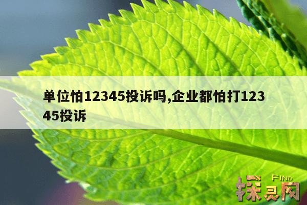 单位怕12345投诉吗?,企业怕12345吗?