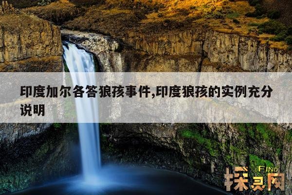 印度加尔各答狼孩事件,印度狼孩的实例充分说明