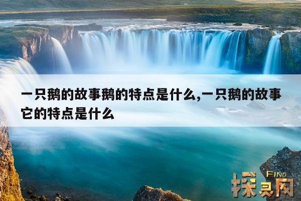 一只鹅的故事鹅的特点是什么,一只鹅的故事它的特点是什么