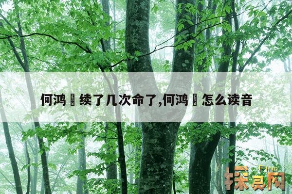何鸿燊续了几次命了,何鸿燊怎么读音