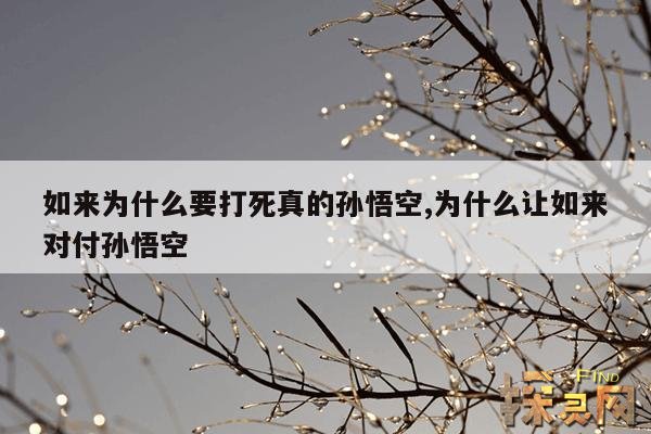 如来为什么要打死真的孙悟空,为什么让如来对付孙悟空