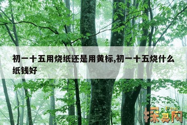 初一十五用烧纸还是用黄标,初一和十五烧纸可以吗?