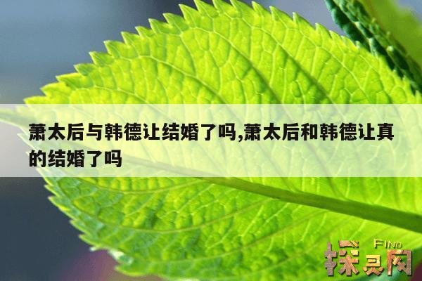 萧太后与韩德让结婚了吗？,萧太后与韩德让结婚了吗？